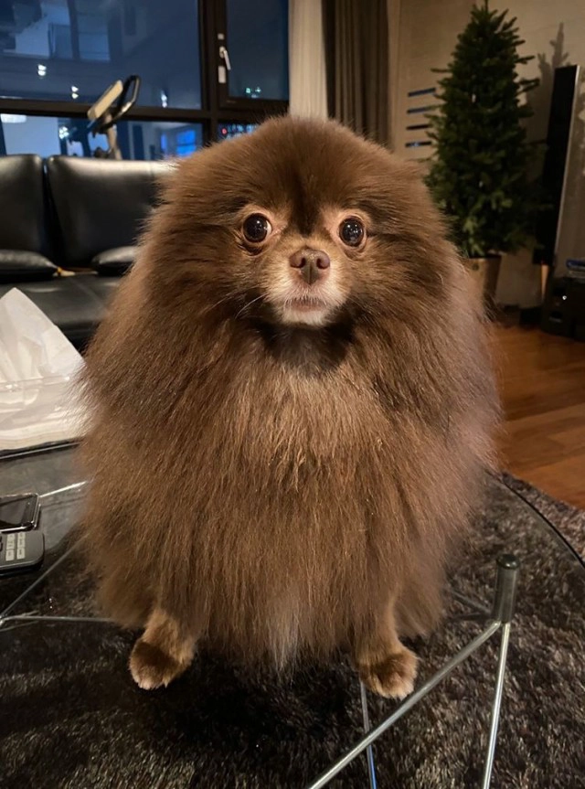 "เจนนี่ BLACKPINK" ร่วมออกแบบแว่นตาคอลเลคชั่นสุดชิค