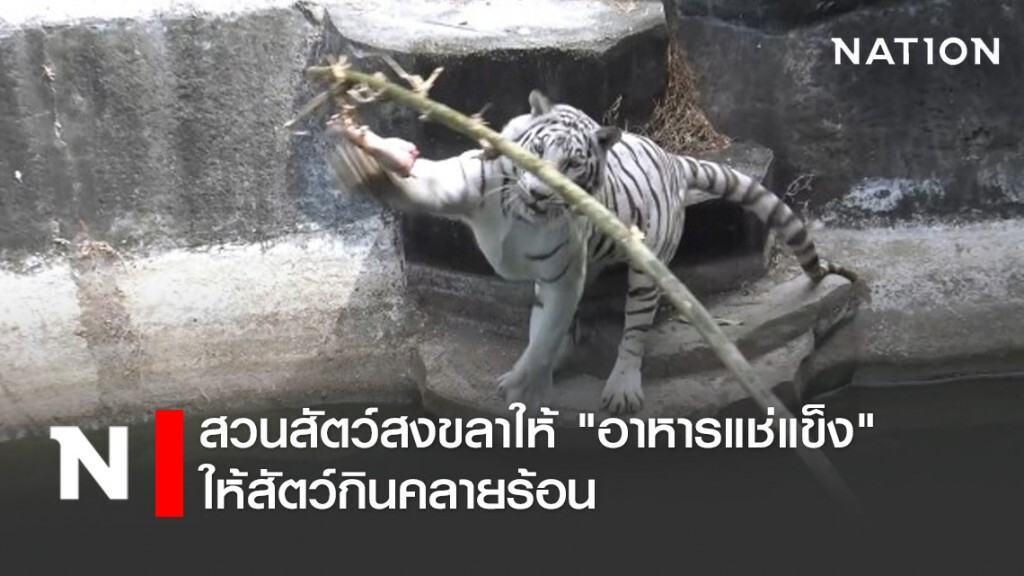 สวนสัตว์สงขลาให้ "อาหารแช่แข็ง" ให้สัตว์กินคลายร้อน