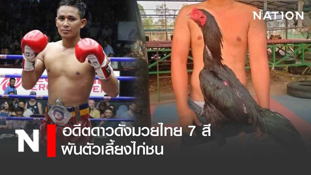 "ต่วนเป๋(เกียรติคมสิงห์) ส.สมหมาย" ผันตัวมาเลี้ยงไก่ชน