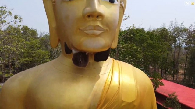 พะเยา ฮือฮา! ฝูงผึ้งหลวงหนีร้อนมาพึ่งเย็น