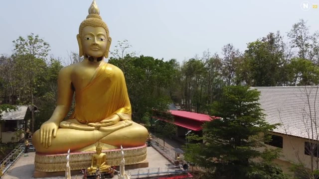 พะเยา ฮือฮา! ฝูงผึ้งหลวงหนีร้อนมาพึ่งเย็น