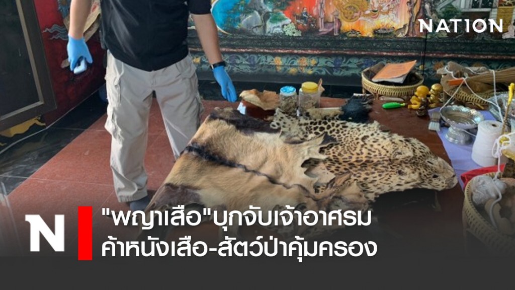 "พญาเสือ"บุกจับเจ้าอาศรมค้าหนังเสือ-สัตว์ป่าคุ้มครอง "พญาเสือ"บุกจับเจ้าอาศรมค้าหนังเสือ-สัตว์ป่าคุ้มครอง