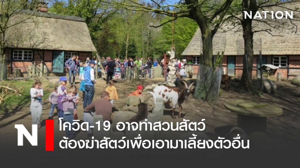 โควิด-19 อาจทำสวนสัตว์ต้องฆ่าสัตว์เพื่อเอามาเลี้ยงตัวอื่น