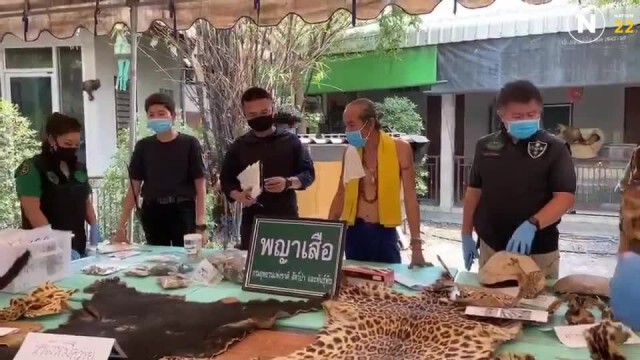 "พญาเสือ"บุกจับเจ้าอาศรมค้าหนังเสือ-สัตว์ป่าคุ้มครอง