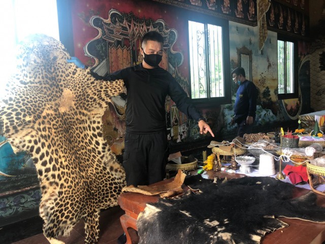 "พญาเสือ"บุกจับเจ้าอาศรมค้าหนังเสือ-สัตว์ป่าคุ้มครอง