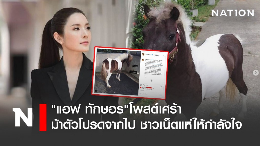 "แอฟ ทักษอร"โพสต์เศร้า ม้าตัวโปรดจากไป ชาวเน็ตแห่ให้กำลังใจ