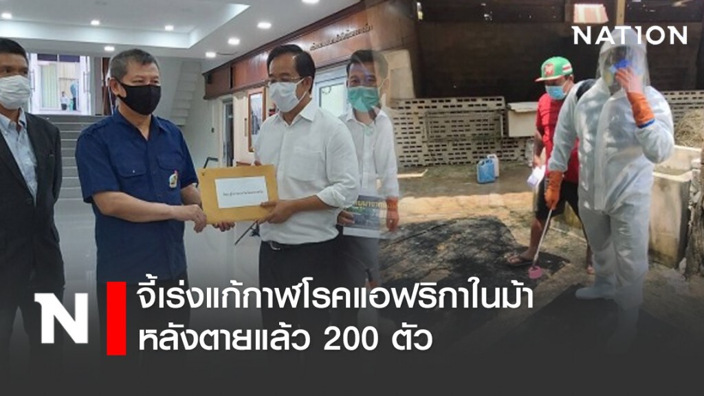 สมาคมม้าแข่ง จี้เร่งแก้กาฬโรคแอฟริกาในม้า หลังตายแล้ว200ตัว