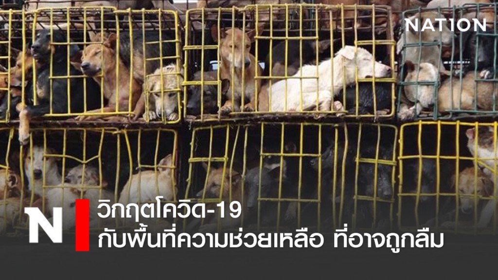 "วิกฤตโควิด-19 กับพื้นที่ความช่วยเหลือ ที่อาจถูกลืม" "วิกฤตโควิด-19 กับพื้นที่ความช่วยเหลือ ที่อาจถูกลืม"
