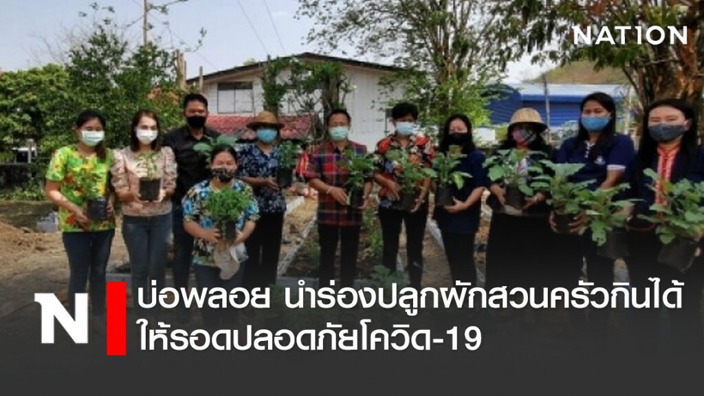 บ่อพลอย นำร่องปลูกผักสวนครัวกินได้ ให้รอดปลอดภัยโควิด19