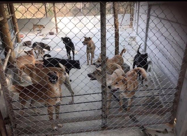 "วิกฤตโควิด-19 กับพื้นที่ความช่วยเหลือ ที่อาจถูกลืม"