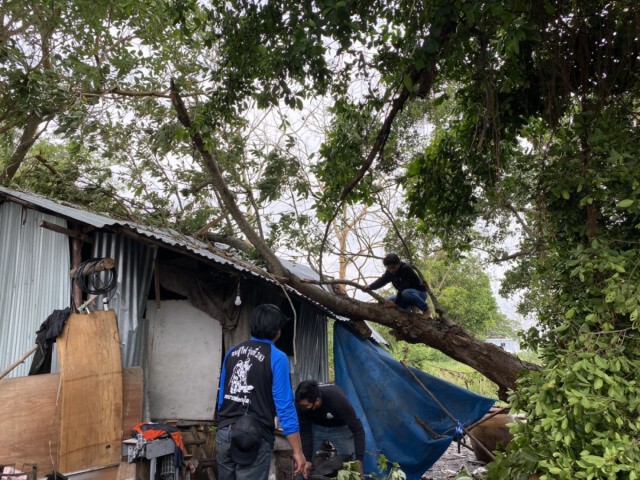 ฝนตกหนักต้นไม้ล้มทับบ้าน โครงหลังคาเหล็กถล่ม