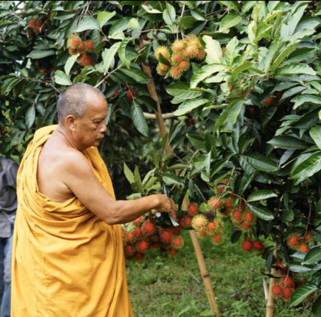 ไอเดียเด็ด! เดลิเวอร์รี่ "พระพยอม" ส่งขนม-ผลไม้ จากวัดถึงบ้าน