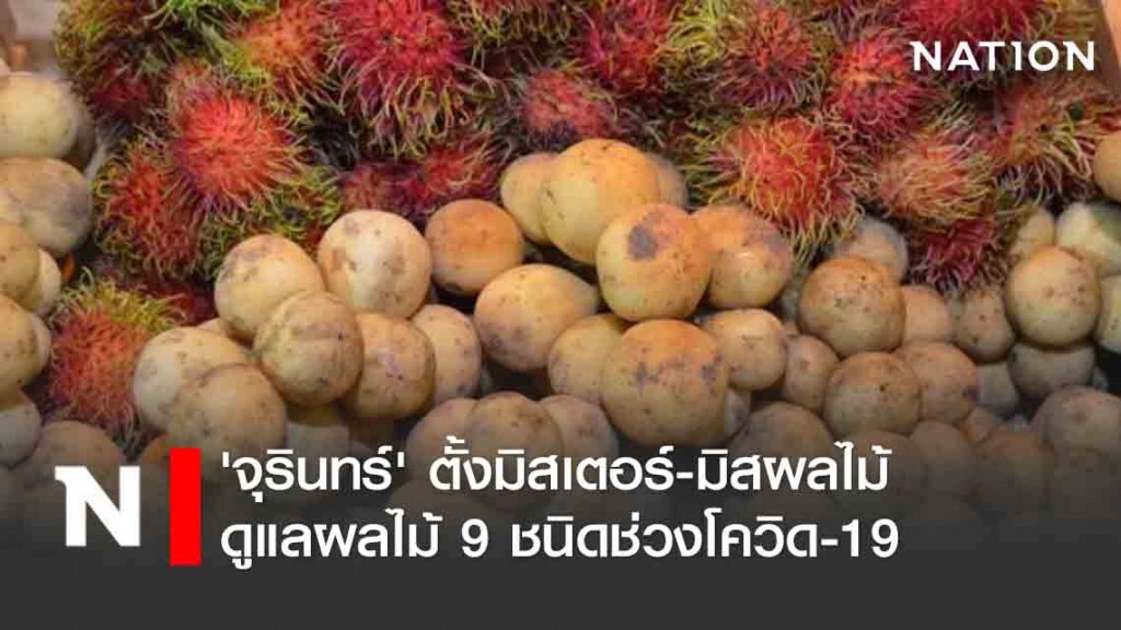'จุรินทร์' ตั้งมิสเตอร์-มิสผลไม้ดูแลผลไม้ 9 ชนิดช่วงโควิด-19