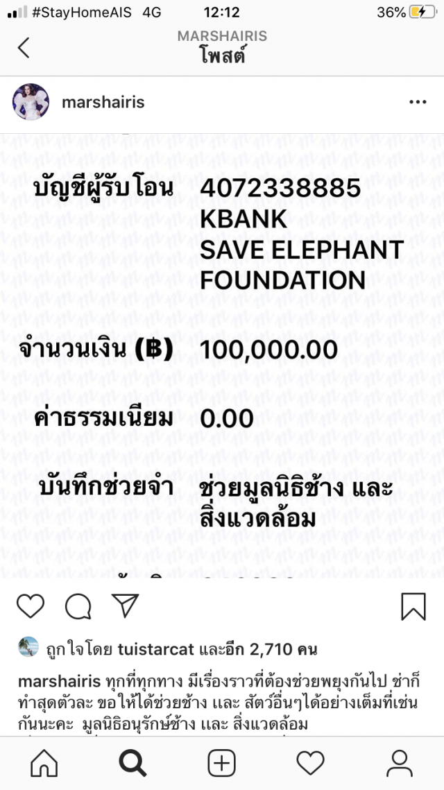 "มาช่า" มอบ 1 แสน ช่วยช้างใกล้อดตาย โดนพิษโควิด