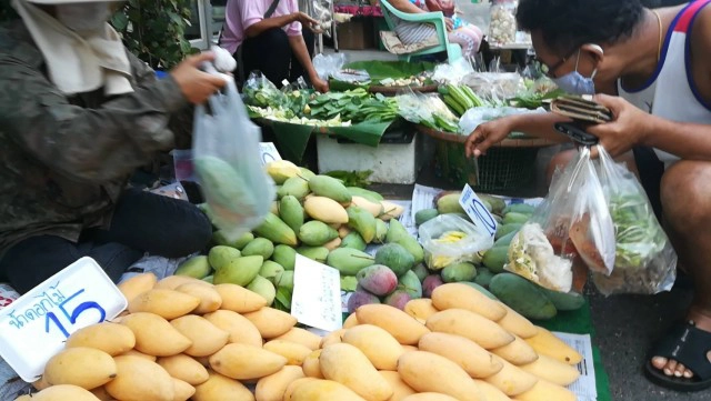 "มะม่วงน้ำดอกไม้สีทอง" ราคาตกฮวบ ชาวสวนเร่ขายแทนการส่งออก