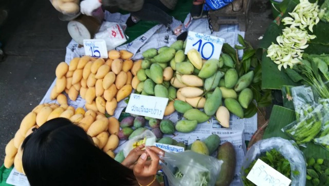 "มะม่วงน้ำดอกไม้สีทอง" ราคาตกฮวบ ชาวสวนเร่ขายแทนการส่งออก