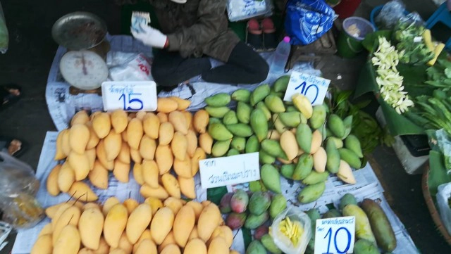 "มะม่วงน้ำดอกไม้สีทอง" ราคาตกฮวบ ชาวสวนเร่ขายแทนการส่งออก