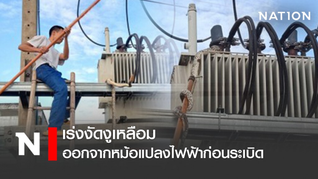 เร่งงัดงูเหลือม ออกจากหม้อแปลงไฟฟ้าก่อนระเบิด เร่งงัดงูเหลือม ออกจากหม้อแปลงไฟฟ้าก่อนระเบิด