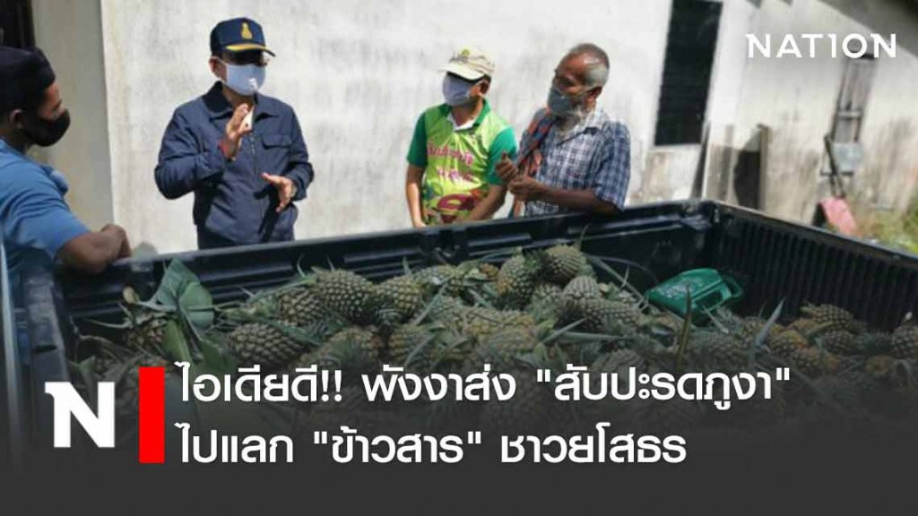 พังงาส่ง "สับปะรดภูงา" 3.2 ตัน ไปแลก "ข้าวสาร" ชาวยโสธร พังงาส่ง "สับปะรดภูงา" 3.2 ตัน ไปแลก "ข้าวสาร" ชาวยโสธร
