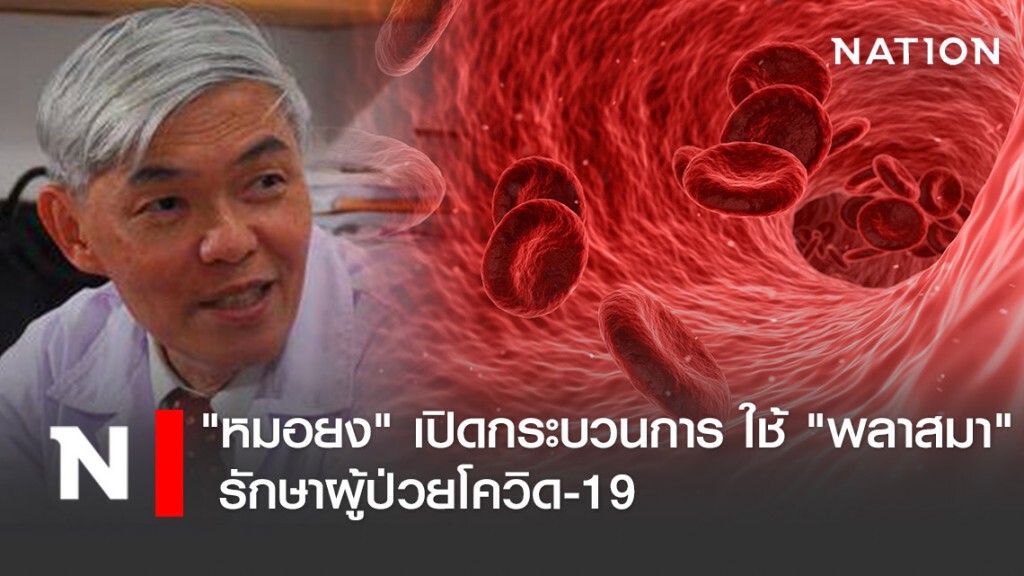 "หมอยง" เปิดกระบวนการ ใช้ "พลาสมา" รักษาผู้ป่วยโควิด-19