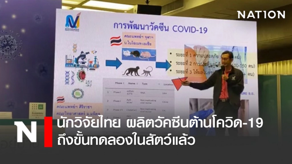 สธ. เผย นักวิจัยไทย ผลิตวัคซีนต้านโควิด-19 ถึงขั้นทดลองในสัตว์แล้ว