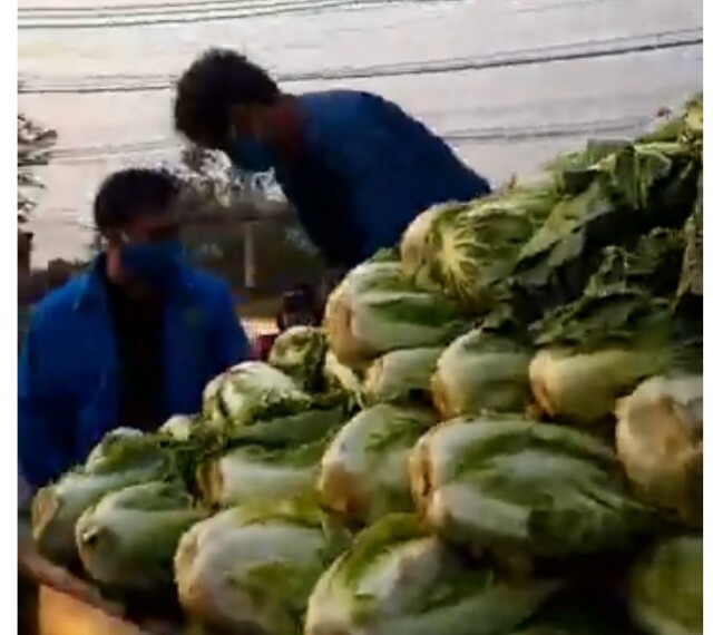 "มัลลิกา" เผยสมาชิกพรรคภาคเหนือร่วมซื้อผักกาดเตรียมแจกคนกรุง
