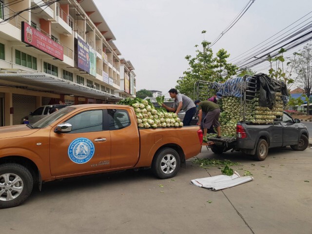 "มัลลิกา" เผยสมาชิกพรรคภาคเหนือร่วมซื้อผักกาดเตรียมแจกคนกรุง