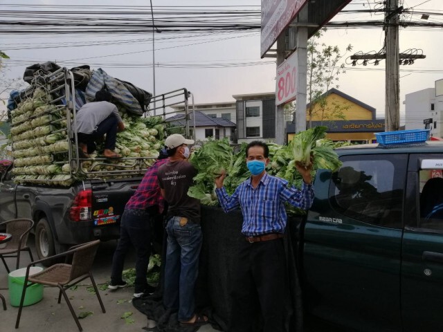 "มัลลิกา" เผยสมาชิกพรรคภาคเหนือร่วมซื้อผักกาดเตรียมแจกคนกรุง