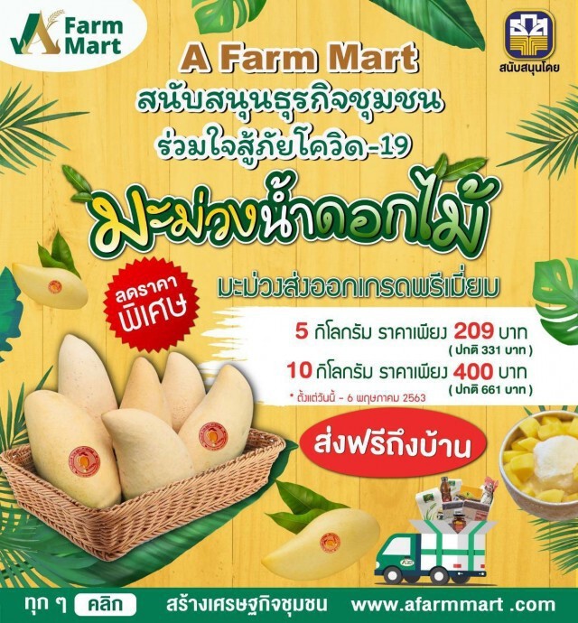 ธ.ก.ส.ชวนอุดหนุนมะม่วงน้ำดอกไม้จากเกษตรกรผ่านออนไลน์