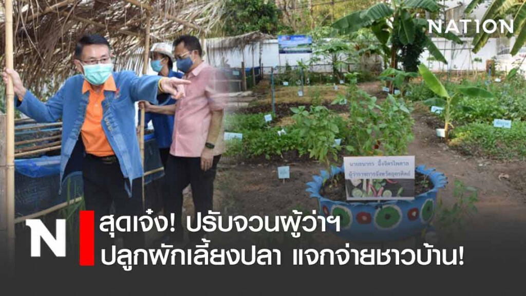 พ่อเมืองอุตรดิตถ์สุดเจ๋ง! ปรับจวนฯ ปลูกผักเลี้ยงปลา แจกจ่ายชาวบ้าน!