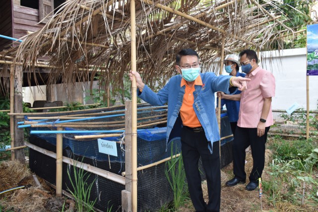 พ่อเมืองอุตรดิตถ์สุดเจ๋ง! ปรับจวนฯ ปลูกผักเลี้ยงปลา แจกจ่ายชาวบ้าน!