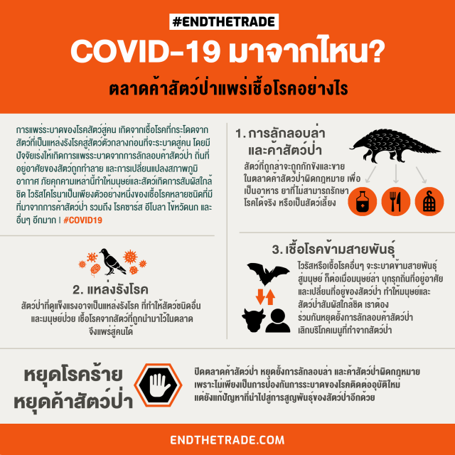 "ลีโอนาร์โด" เรียกร้องรัฐทั่วโลก "ปิดตลาดค้าสัตว์ป่า"