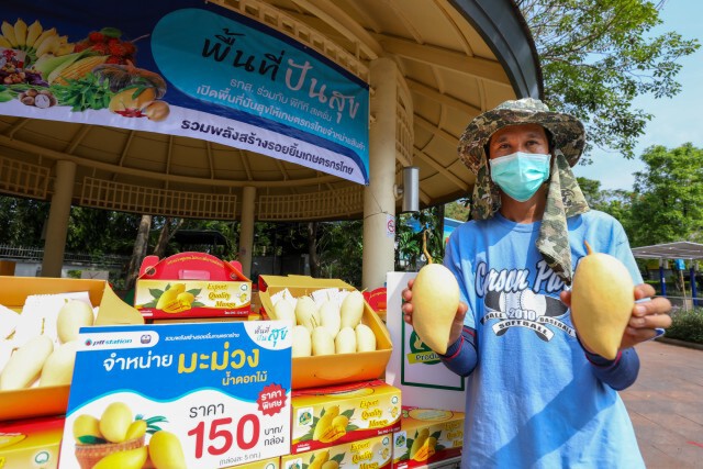 สถานีบริการน้ำมัน พีทีที สเตชั่น เปิดพื้นที่ให้เกษตรกรขายมะม่วงน้ำดอกไม้