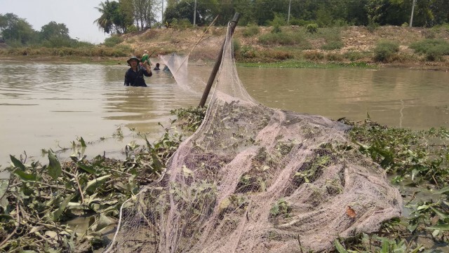 พระ เณร ชาวบ้าน สุดทน! เร่งช่วยชีวิตปลาหน้าวัด