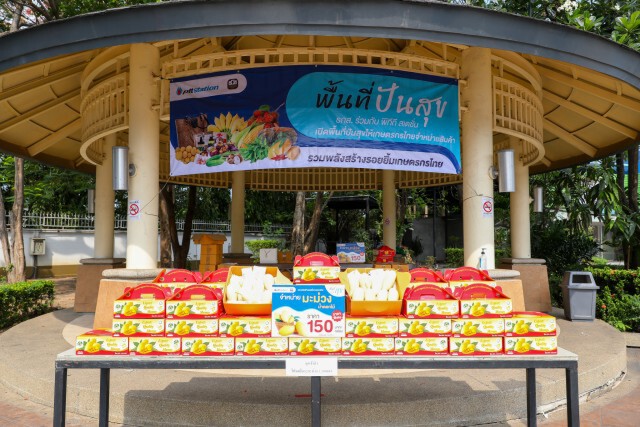 สถานีบริการน้ำมัน พีทีที สเตชั่น เปิดพื้นที่ให้เกษตรกรขายมะม่วงน้ำดอกไม้