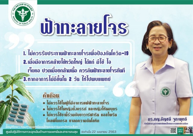 สธ.เตือน ฟ้าทะลายโจรไม่ได้แก้โควิด ย้ำควรใช้ให้ถูกกับโรค