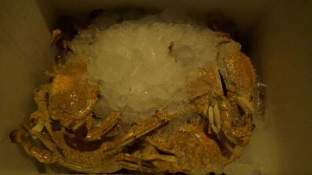 ซึ้งน้ำใจ "เครือข่ายประมง" นำปู-ปลาทะเล แจกคนจนชาวสลัม 4 ภาค