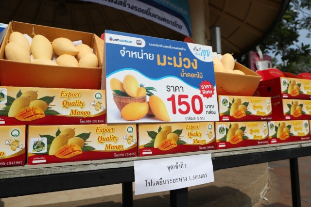 ธ.ก.ส. ผนึกพีทีที สเตชั่นเปิดพื้นที่เกษตรกรจำหน่ายมะม่วง