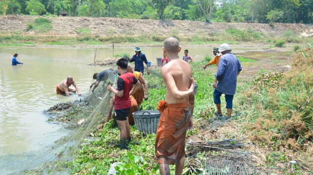 พระ เณร ชาวบ้าน สุดทน! เร่งช่วยชีวิตปลาหน้าวัด