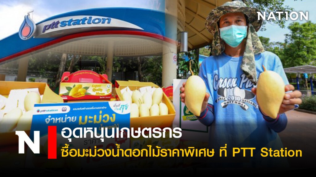 อุดหนุนเกษตรกร ซื้อมะม่วงน้ำดอกไม้ราคาพิเศษ  ที่ PTT Station