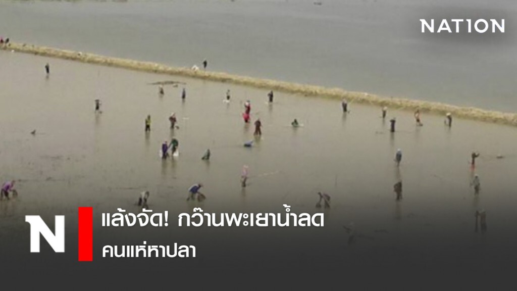 แล้งจัด! กว๊านพะเยาน้ำลด คนแห่หาปลา