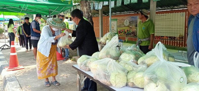 สังคมแบ่งปัน ชาวม้งแม่ฮ่องสอนนำพืชผัก มอบให้รพ.-แจกชาวบ้าน