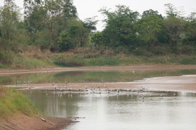 อบจ.หนองบัวลำภู - นายก ทต.หัวนา แก้ปัญหาขาดแคลนน้ำประปา
