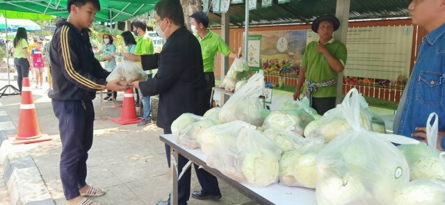 สังคมแบ่งปัน ชาวม้งแม่ฮ่องสอนนำพืชผัก มอบให้รพ.-แจกชาวบ้าน