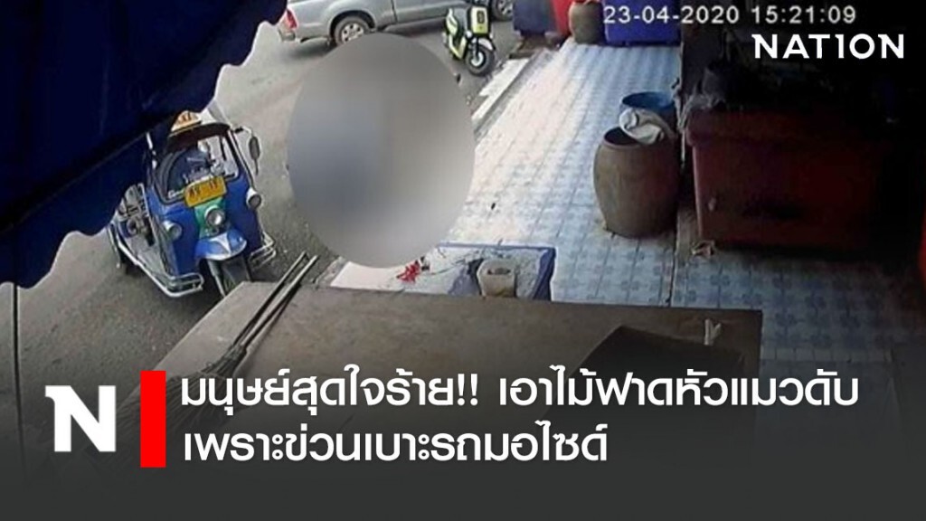 มนุษย์สุดใจร้าย!! เอาไม้ฟาดหัวแมวดับ เพราะข่วนเบาะรถมอไซด์