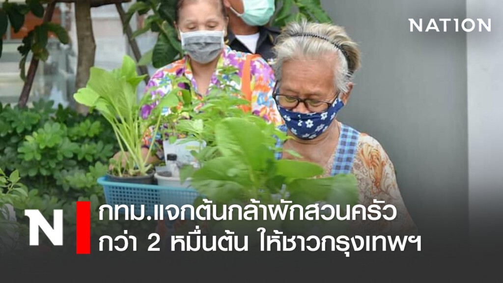กทม.แจกต้นกล้าผักสวนครัวกว่า 2 หมื่นต้นให้ชาวกรุงเทพฯ