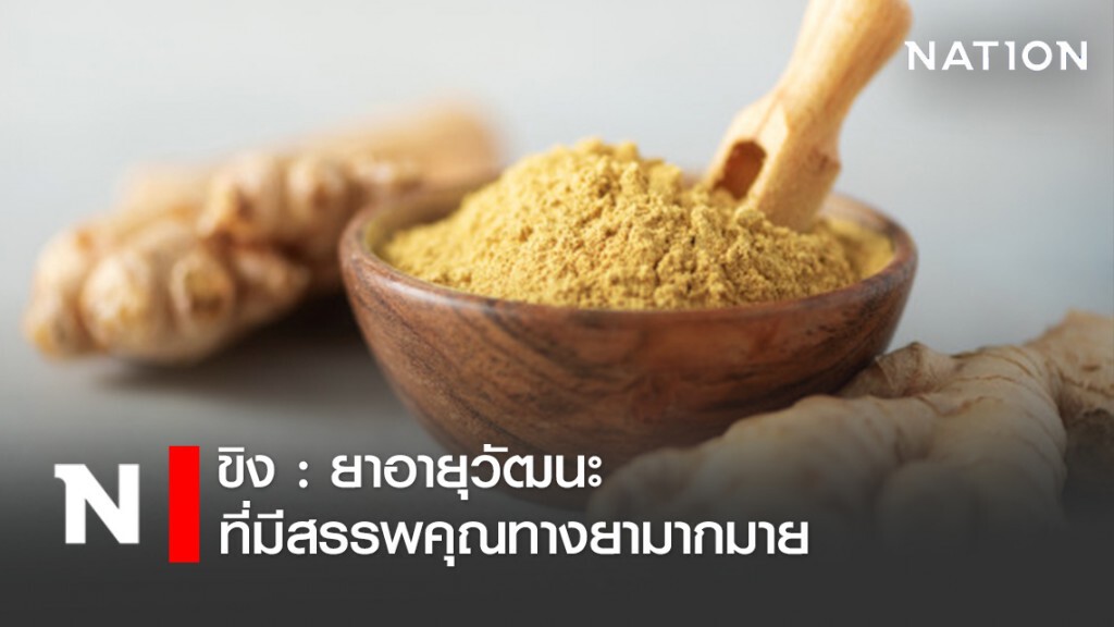 ขิง : ยาอายุวัฒนะ ที่มีสรรพคุณทางยามากมาย