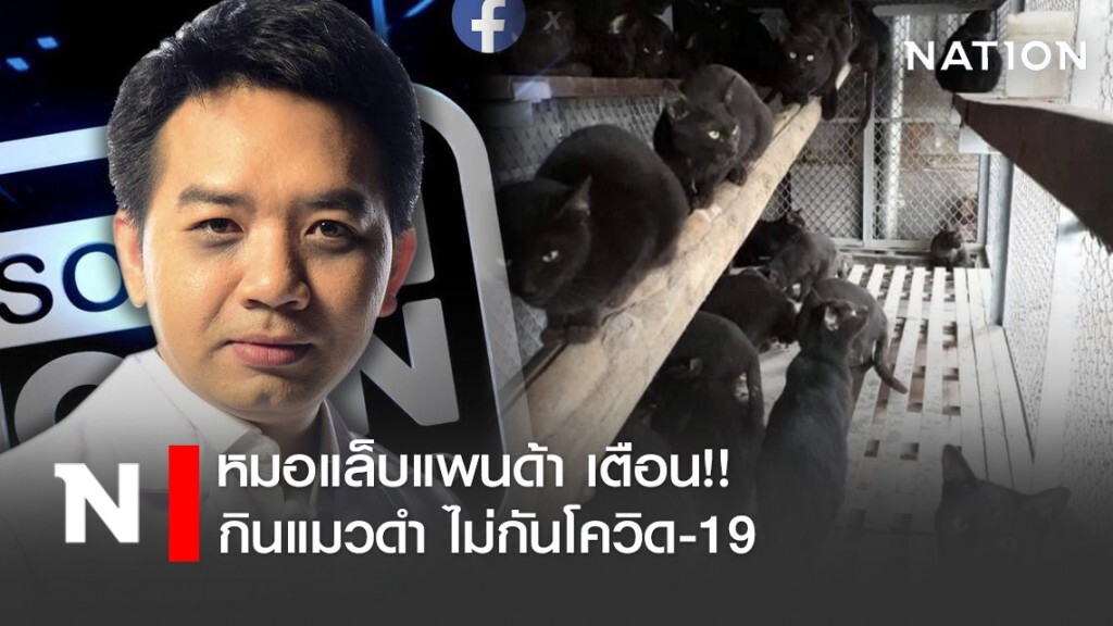 หมอแล็บแพนด้า เตือน!! กินแมวดำ ไม่กันโควิด-19 ระวังเชื้อโรคชนิดใหม่ หมอแล็บแพนด้า เตือน!! กินแมวดำ ไม่กันโควิด-19 ระวังเชื้อโรคชนิดใหม่