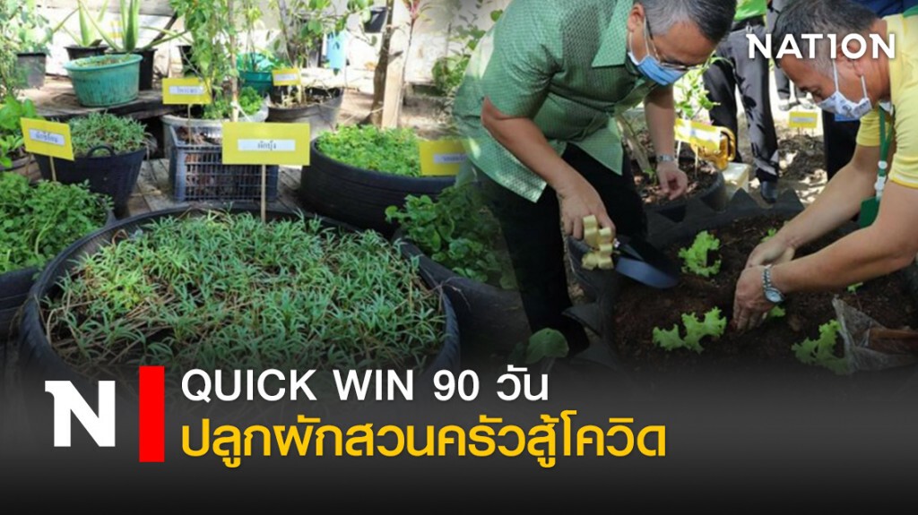 QUICK WIN 90 วัน ปลูกผักสวนครัวสู้โควิด QUICK WIN 90 วัน ปลูกผักสวนครัวสู้โควิด