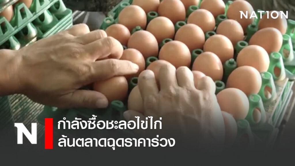 กำลังซื้อชะลอไข่ไก่ล้นตลาดฉุดราคาร่วง